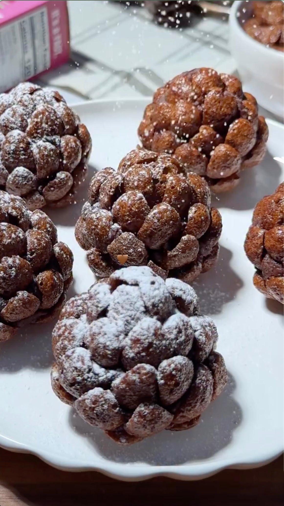 Pinecone Chocolate Truffles