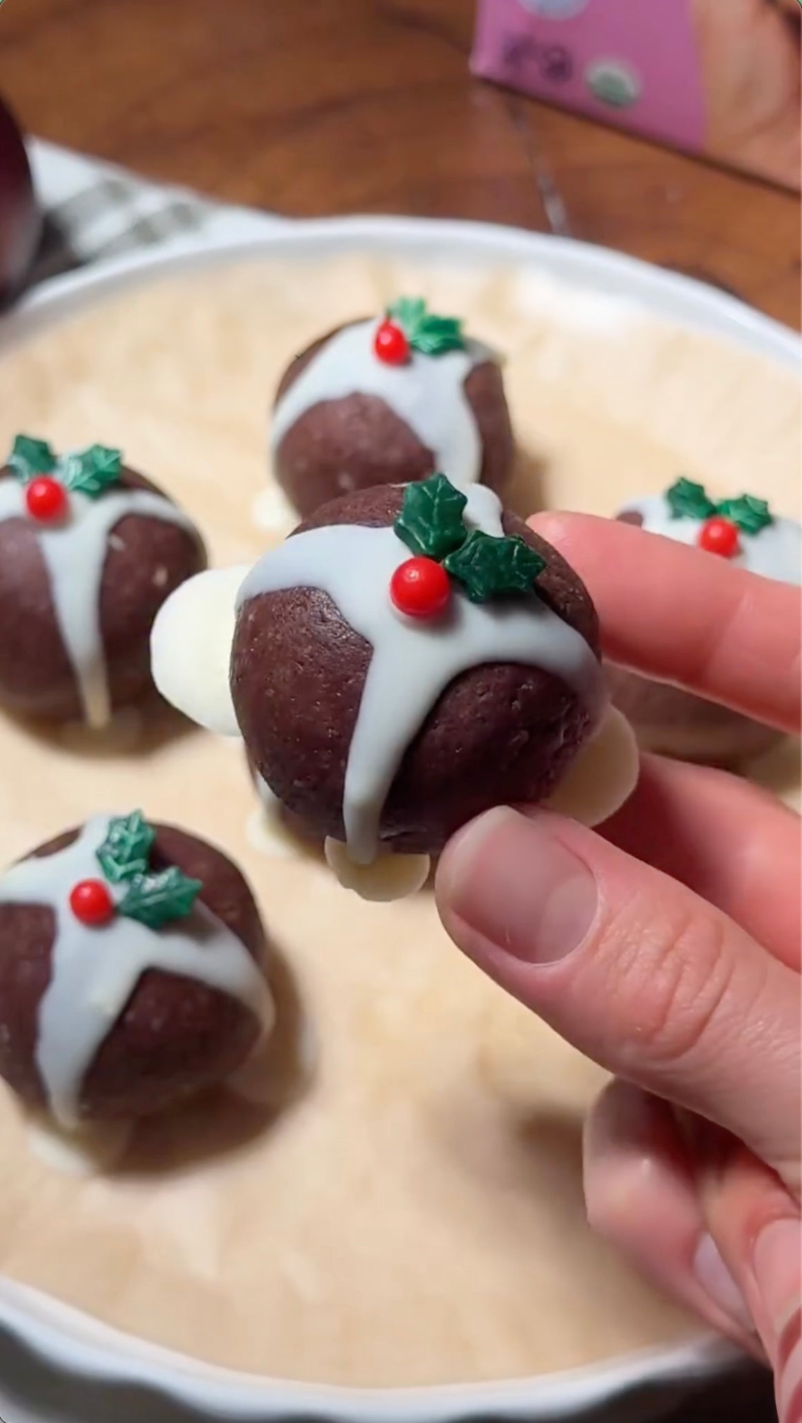 Christmas Pudding Protein Balls