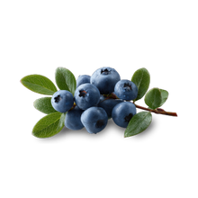 Blueberries
