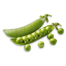 Pea Protein